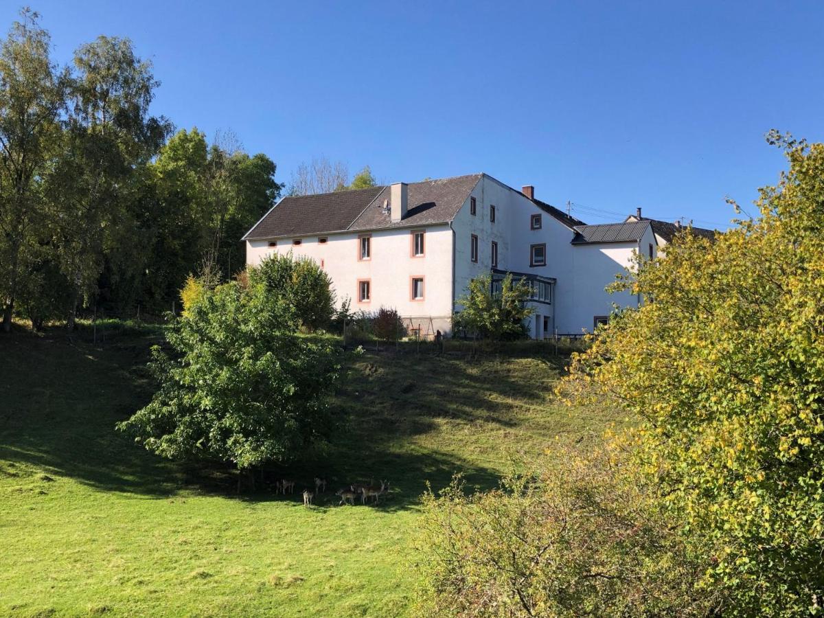 Ferienhaus Rehblick Rockeskyll Exteriör bild