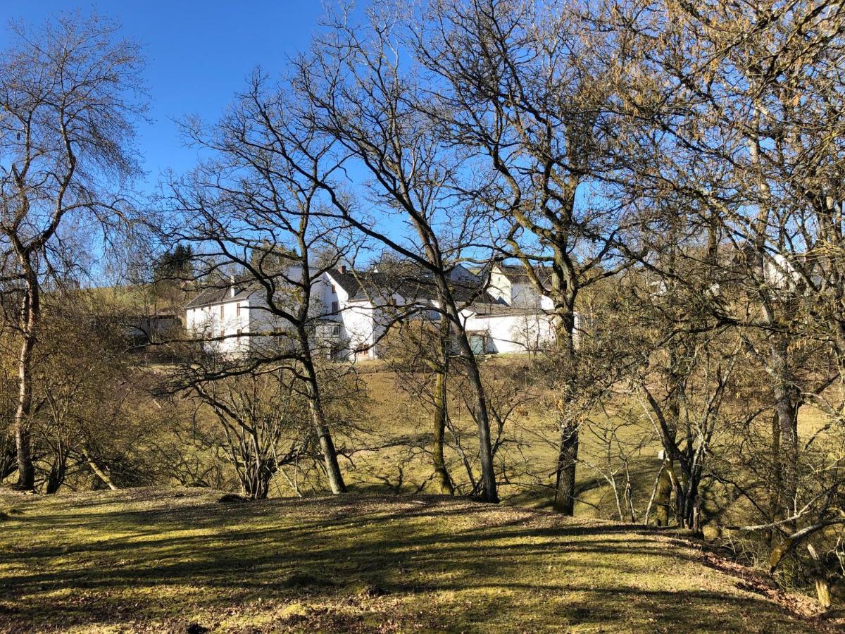 Ferienhaus Rehblick Rockeskyll Exteriör bild