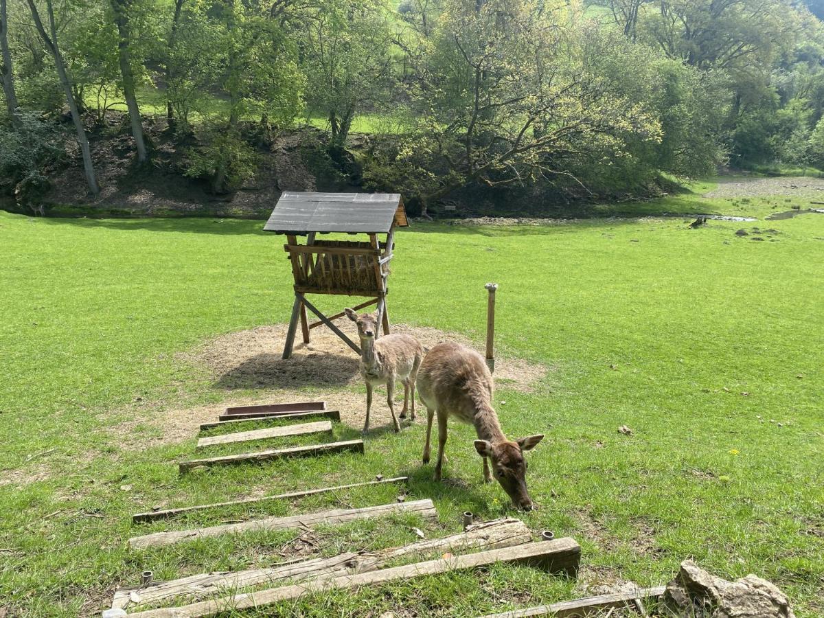 Ferienhaus Rehblick Rockeskyll Exteriör bild